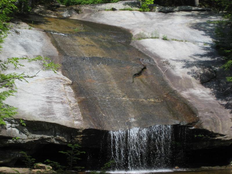 Israel (2).JPG - It was a pleasant area that would be great to swim in after a hot hike.